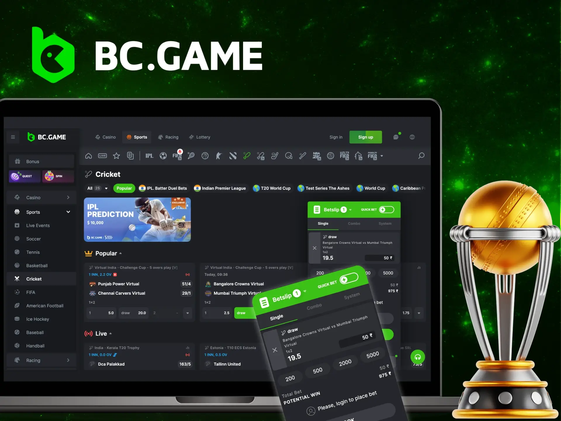Instructions for users on how to bet on cricket at the BC Game online casino.