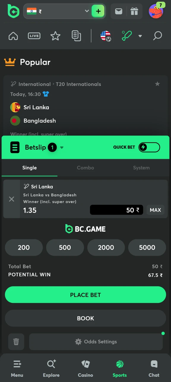 Enter the amount and place your bet at BC Game.