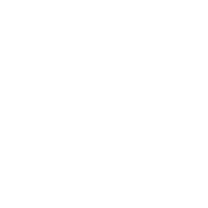 Pg soft provider logo.